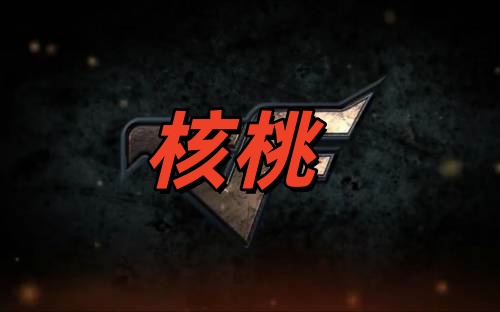 CF核桃辅助（变态方框透视99.9%防封）